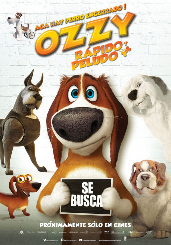 Ozzy: Rápido y Peludo