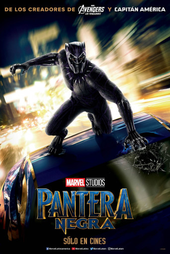 Resultado de imagen para pantera negra la pelicula