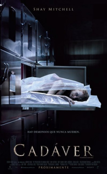 Cadaver