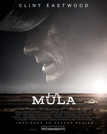 Mula